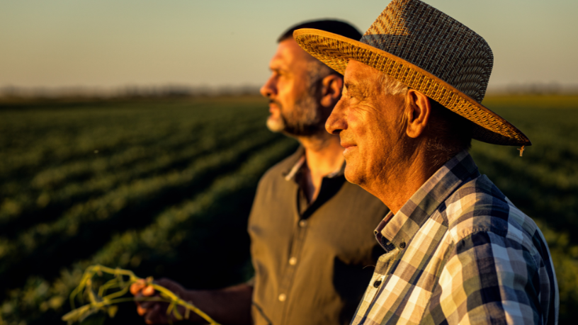 Agropecuária Grama Roxa Ltda